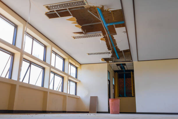 Best Commercial Water Damage Restoration in Angustura, NM