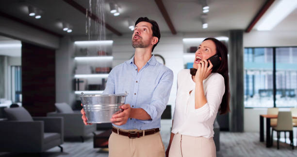 Reliable Angustura, NM Water damage restoration Solutions